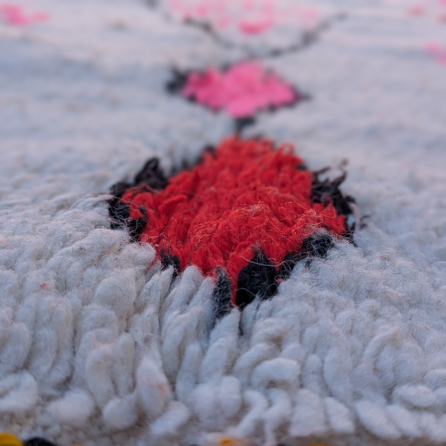 Soraya - Rugs & Tales