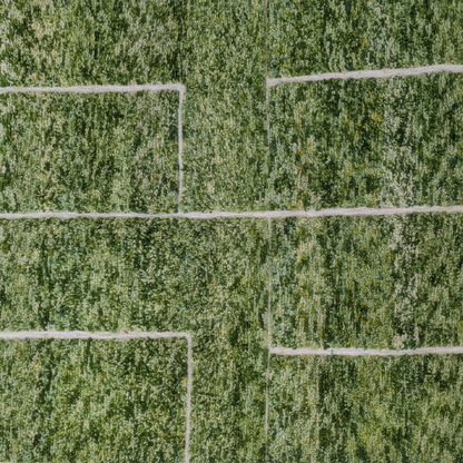 Olive Mirage - Rugs & Tales